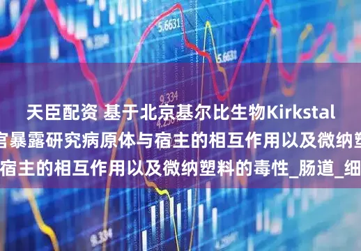 天臣配资 基于北京基尔比生物Kirkstall Quasi Vivo类器官暴露研究病原体与宿主的相互作用以及微纳塑料的毒性_肠道_细胞