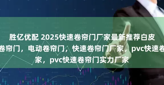 胜亿优配 2025快速卷帘门厂家最新推荐白皮书：聚焦快速卷帘门，电动卷帘门，快速卷帘门厂家，pvc快速卷帘门实力厂家