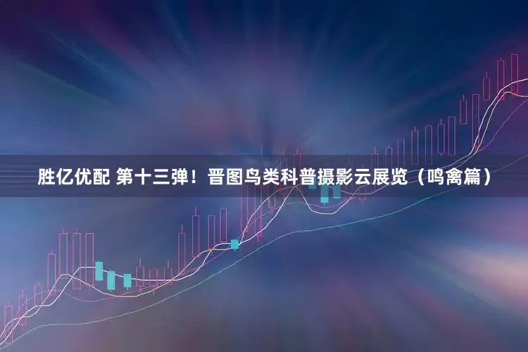 胜亿优配 第十三弹！晋图鸟类科普摄影云展览（鸣禽篇）